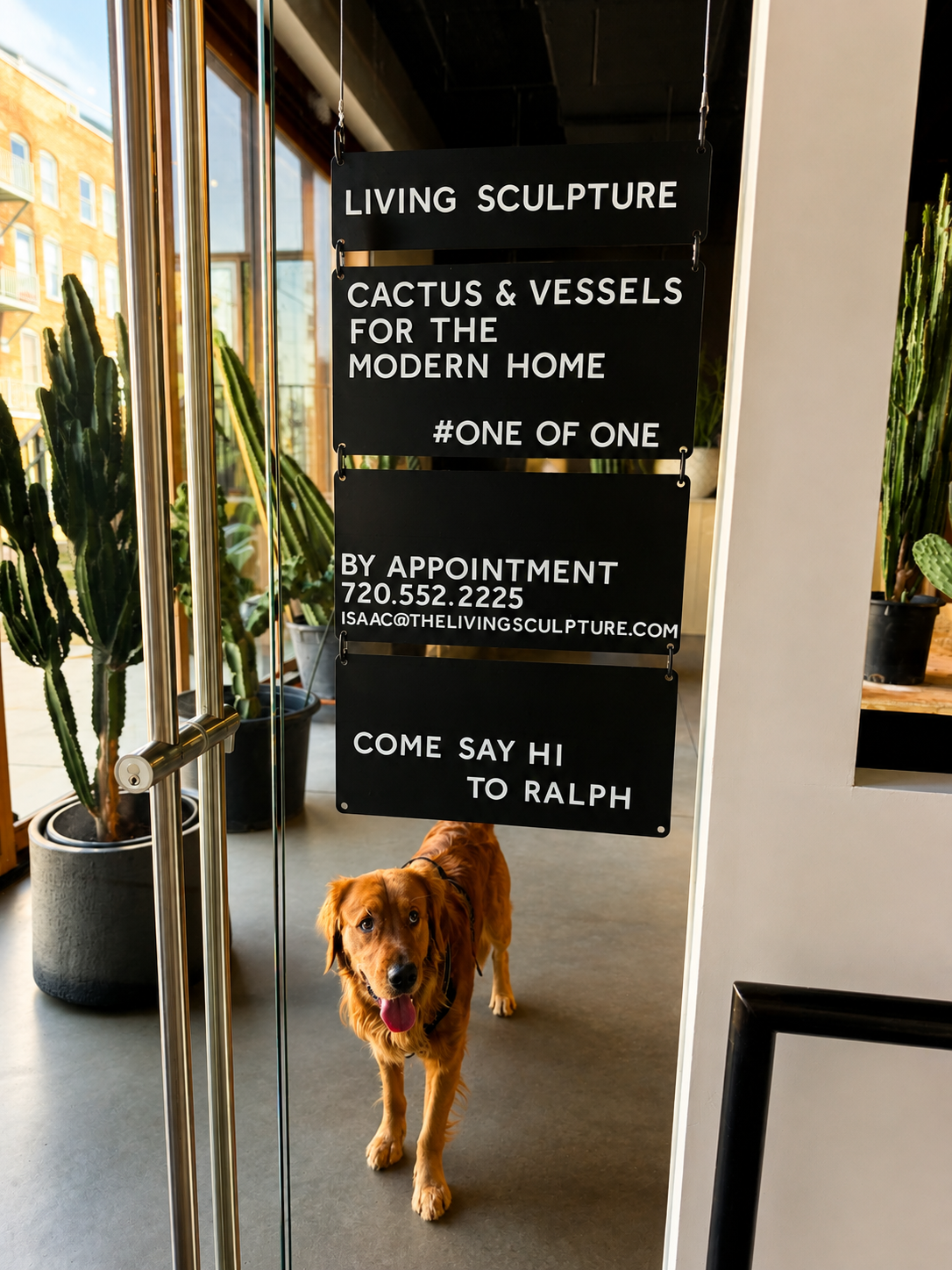 Ralph in the Living Sculpture showroom
