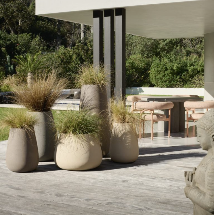 TUBER