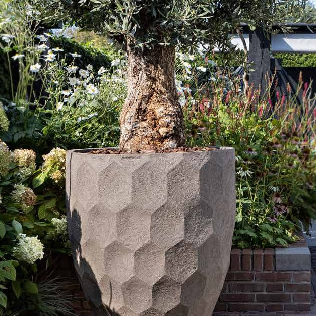 AUO by Atelier Vierkant