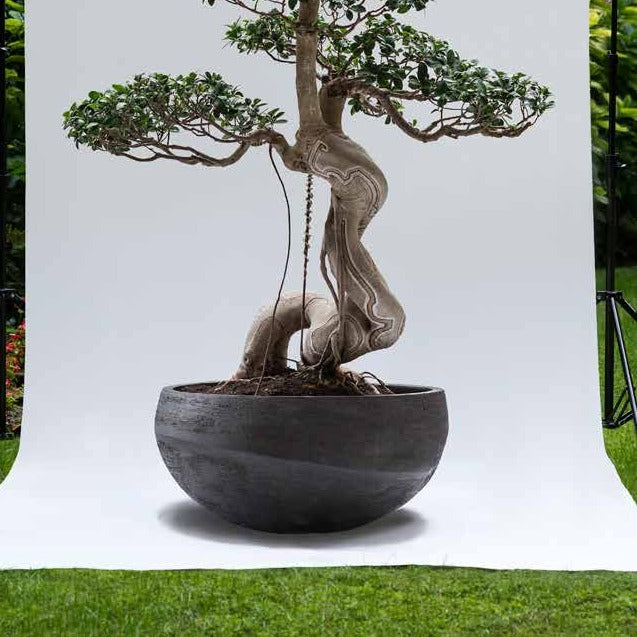 O by Atelier Vierkant