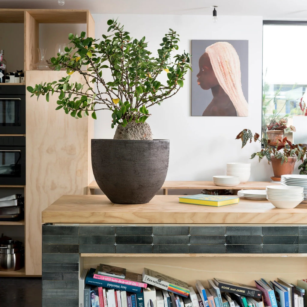 U by Atelier Vierkant