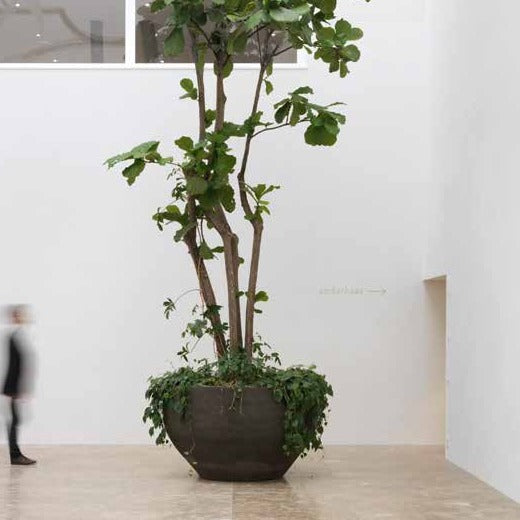 U by Atelier Vierkant